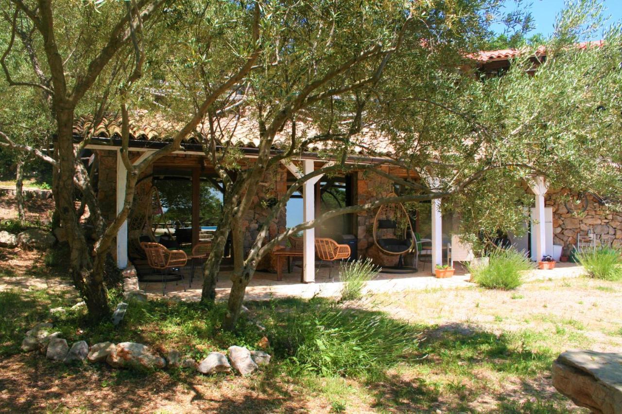 Boutique B&B Agroturizam Sv. Juraj Vrh  Zewnętrze zdjęcie